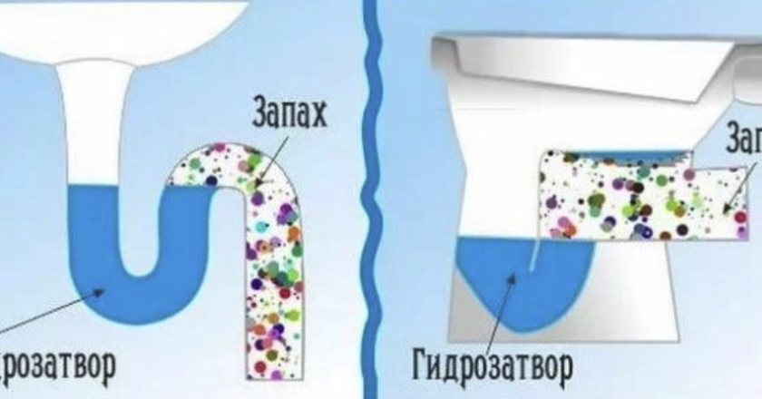 Из-за чего пахнет из канализации